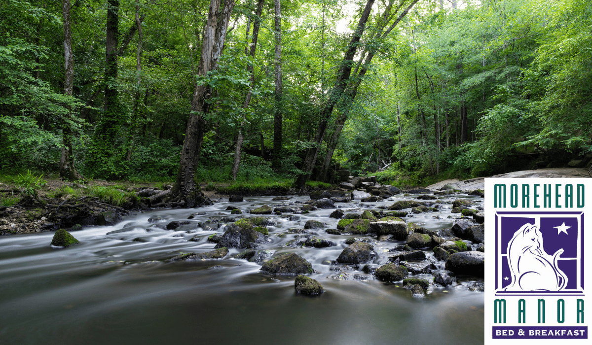 4 Amazingly Awesome Areas in Scenic Durham Eno River State Park