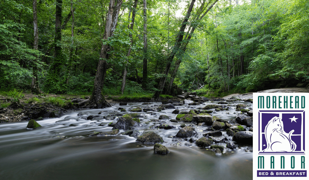 4 Amazingly Awesome Areas in Scenic Durham Eno River State Park