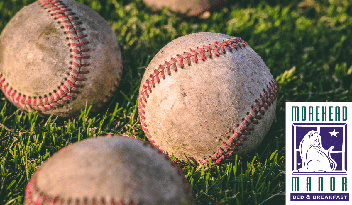 Champions the Durham Bulls baseballs on the field