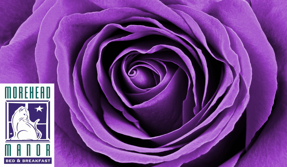 Celebrate Your Love at Morehead Manor in Durham, North Carolina purple rose