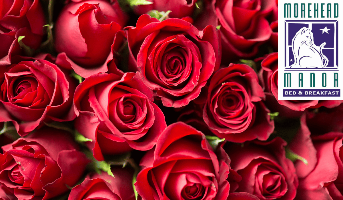 Rev Up Your Romance for Remarkable Results red roses